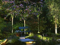 Landscape lighting company in Maryland